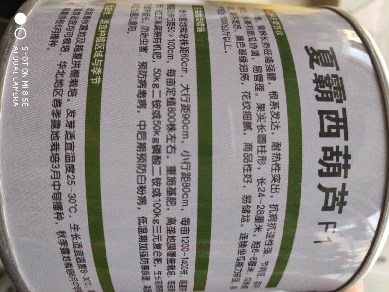 夏霸西葫芦种子早熟耐热性突出瓜色油亮翠绿瓜条顺直