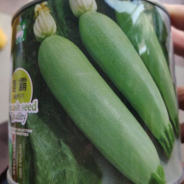 夏霸西葫芦种子早熟耐热性突出瓜色油亮翠绿瓜条顺直