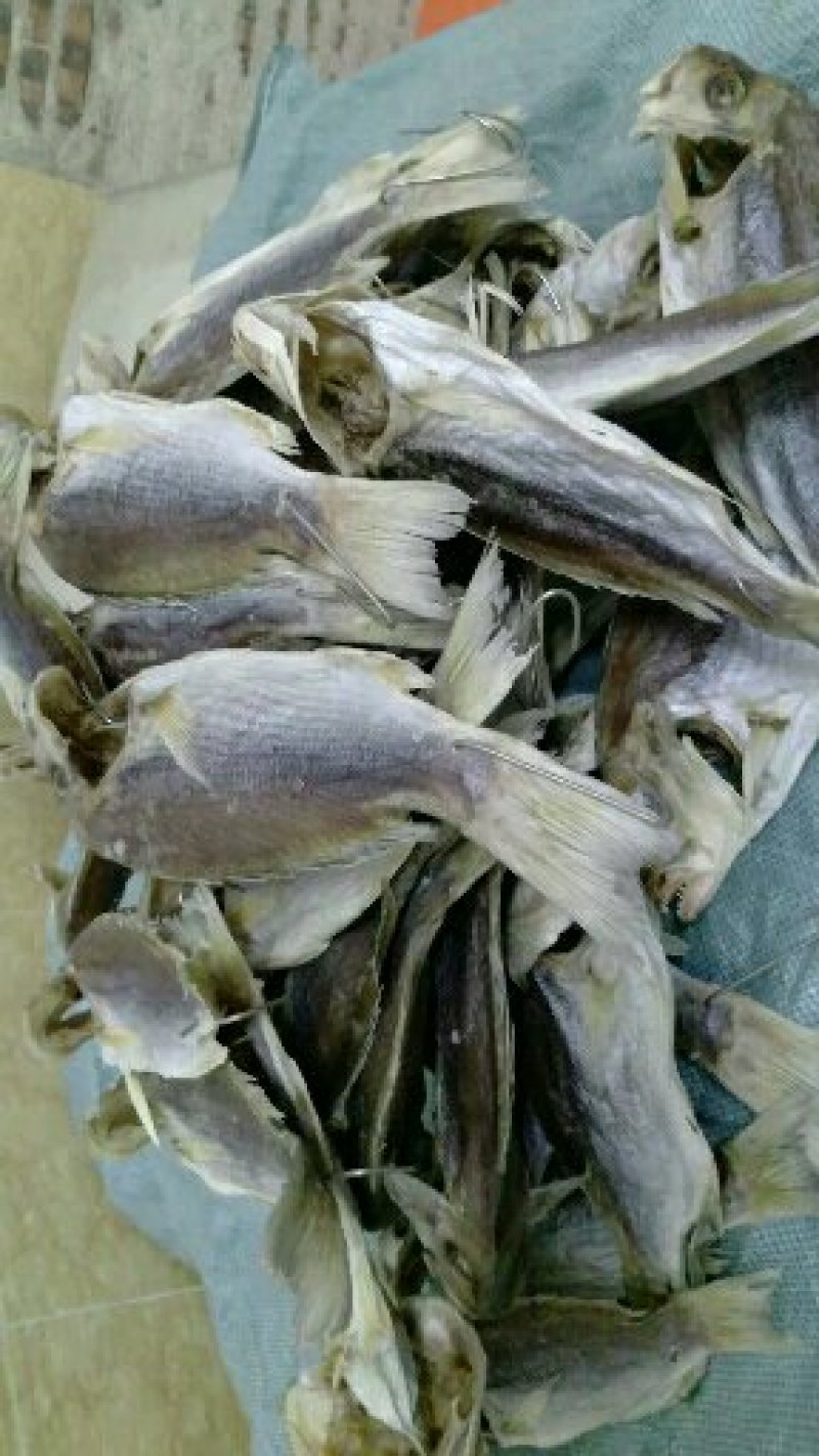 自制淡晒红鱼干