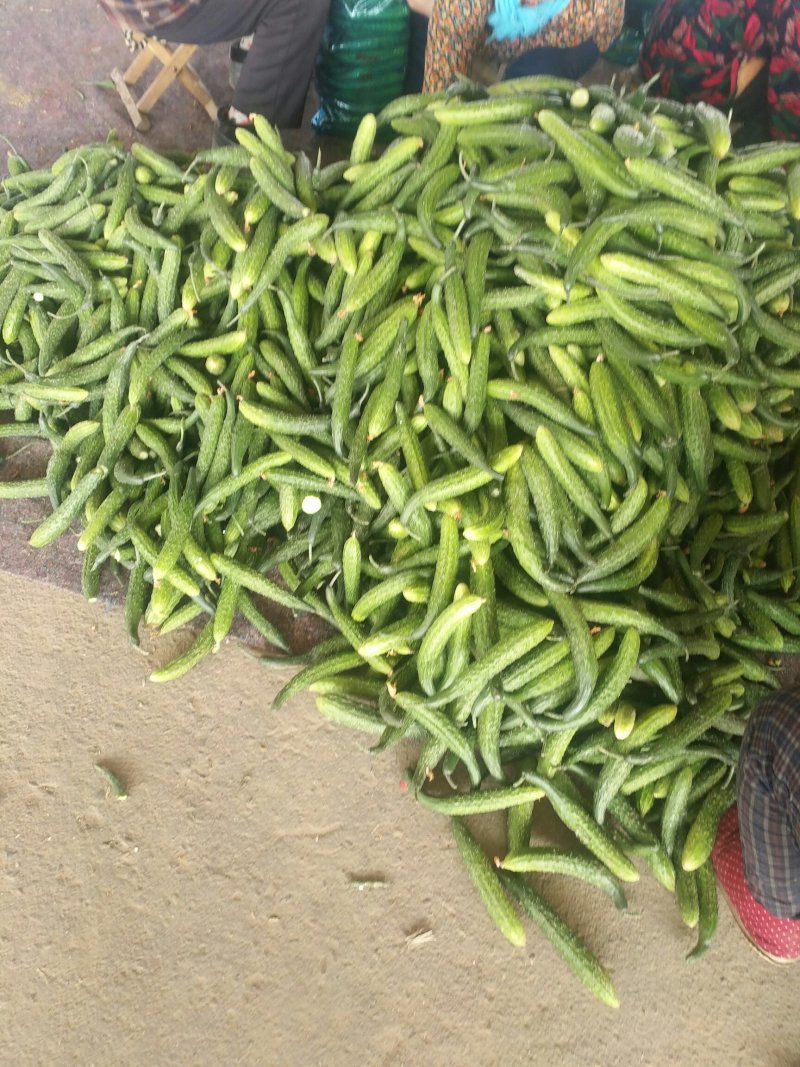 黄瓜