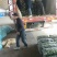 兰陵县温室黄瓜上市中