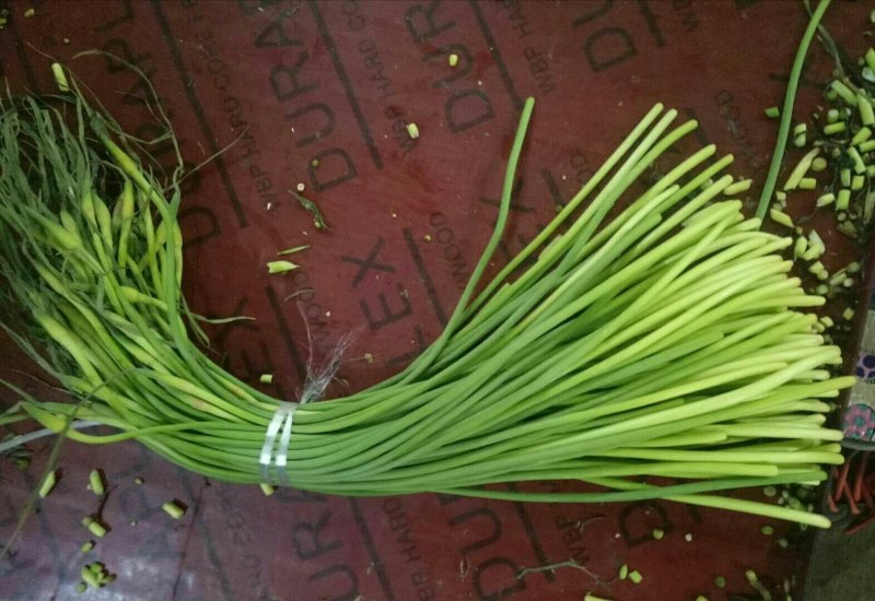 【精品】金乡蒜苔自营冷库出租一手货源直接拿货代存实力配资