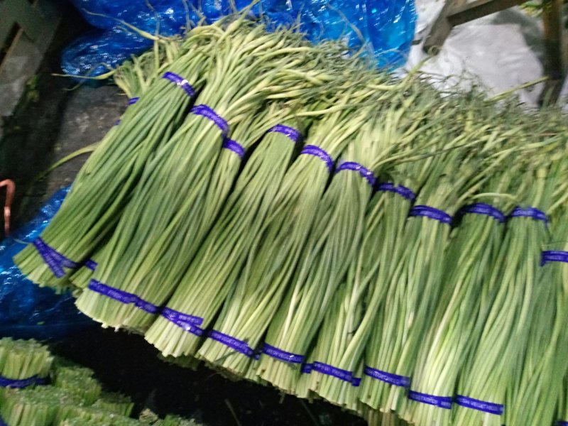 【精品】金乡蒜苔自营冷库出租一手货源直接拿货代存实力配资