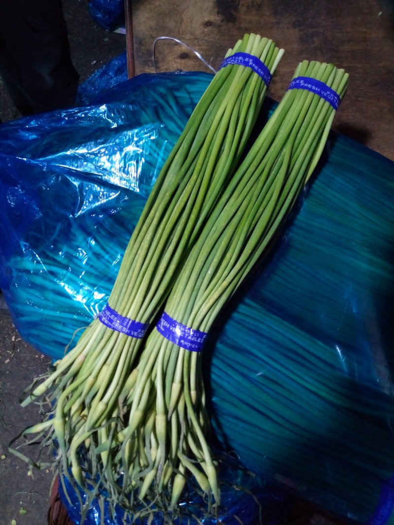 【精品】金乡蒜苔自营冷库出租一手货源直接拿货代存实力配资