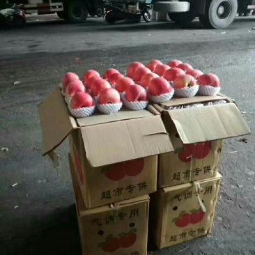 洛纸袋富士。大铁框洛川纸袋，价格合理。量大从优。可供超市