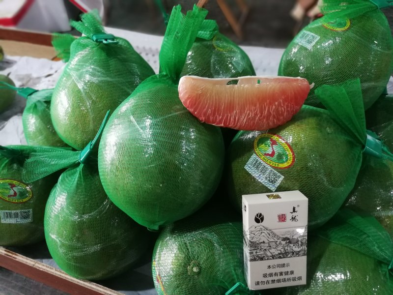 长期供应青皮红心柚子苗，菠萝蜜苗