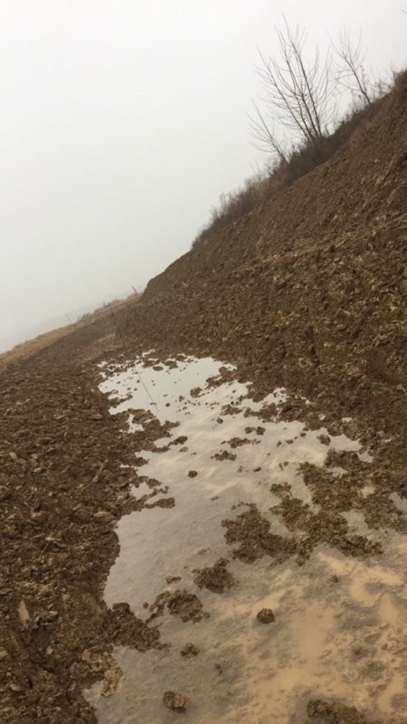 养殖龙虾地