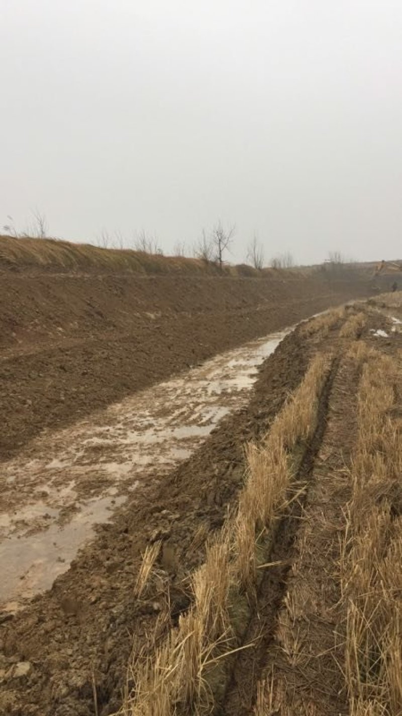 养殖龙虾地