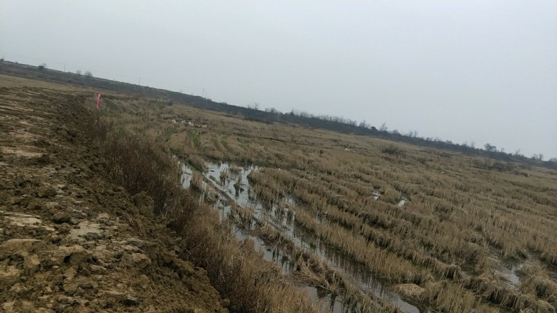 养殖龙虾地