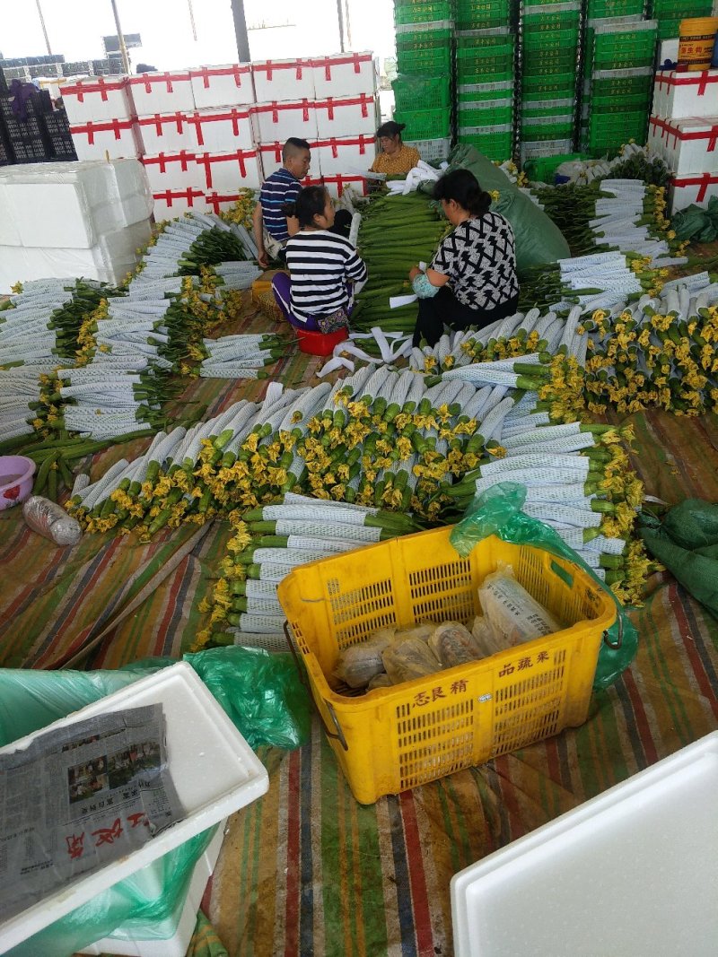 长期供应价钱合理
