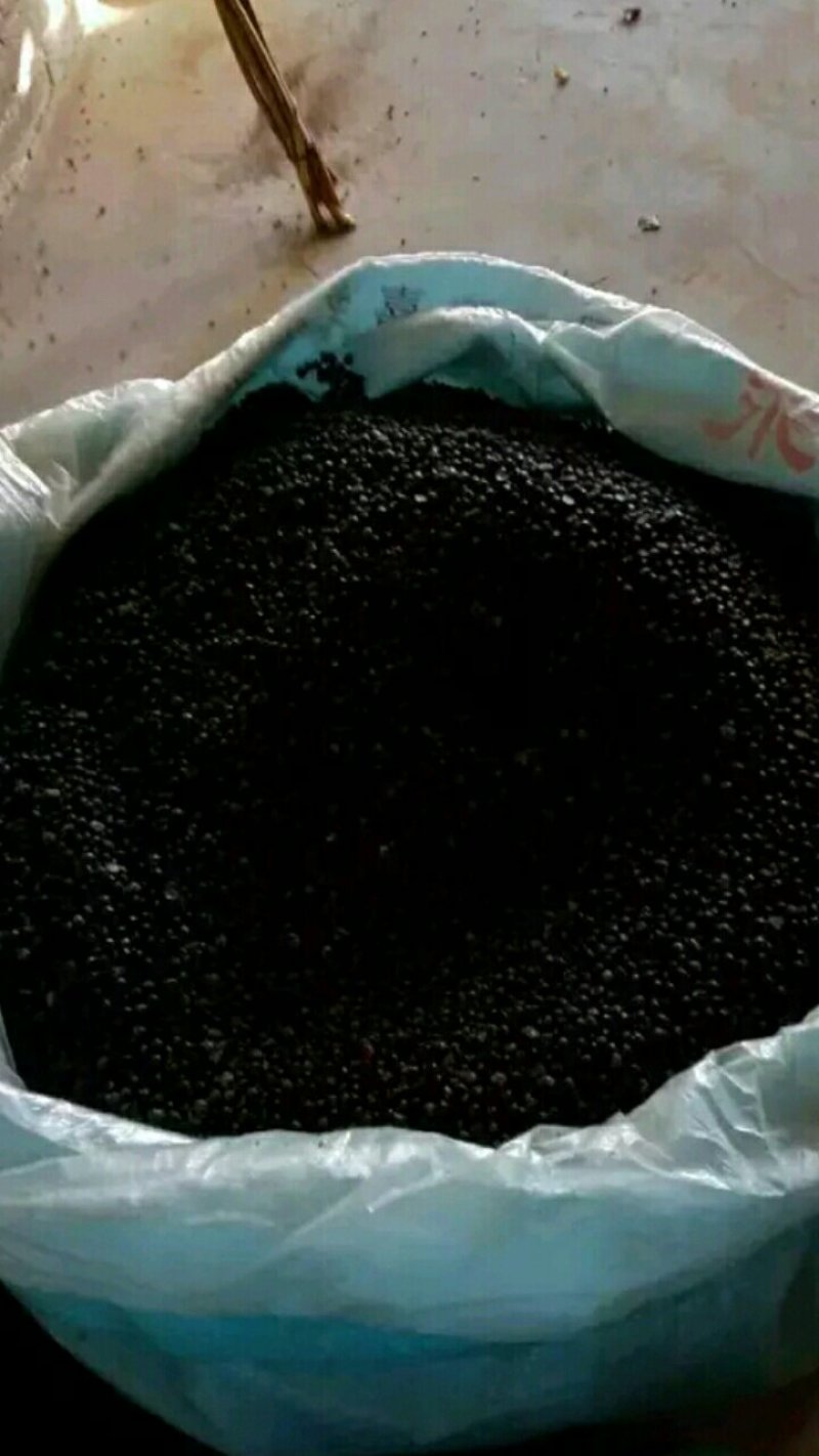【种子不要图便宜】花椒种子大红袍花椒种子教给你种植方法