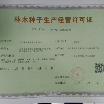 【什么种子适合育苗】八棱海棠种子嫁接砧木专用指导种植技术