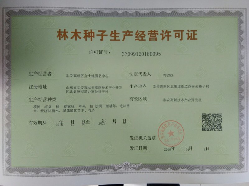【什么种子适合育苗】八棱海棠种子嫁接砧木专用指导种植技术