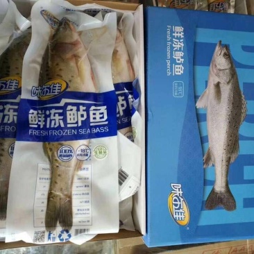 海鲜大礼包，海鲈鱼