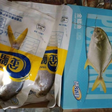 金昌鱼
