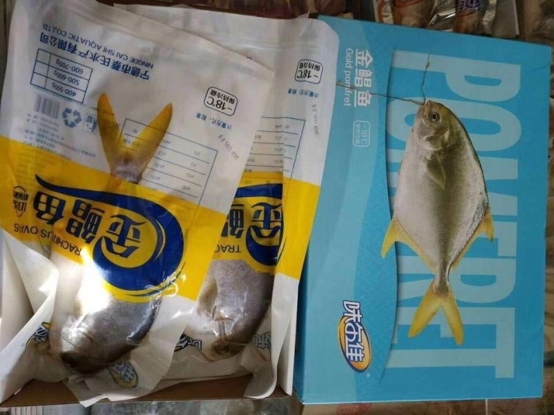 金昌鱼