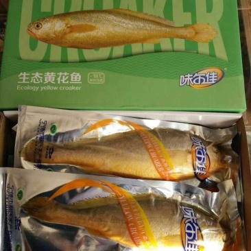 黄花鱼