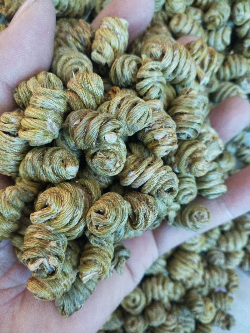 铁皮石斛