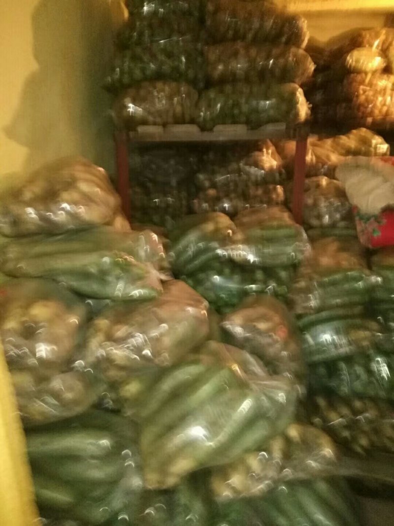 潍坊青萝卜，潍坊水果萝卜，大量出售！价格便宜，