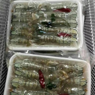 腌吉皮皮虾即食