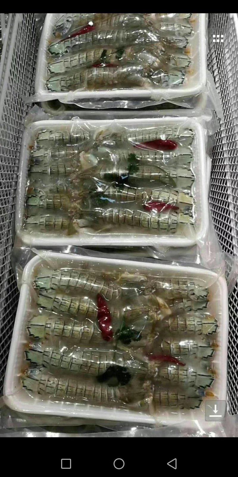 腌吉皮皮虾即食