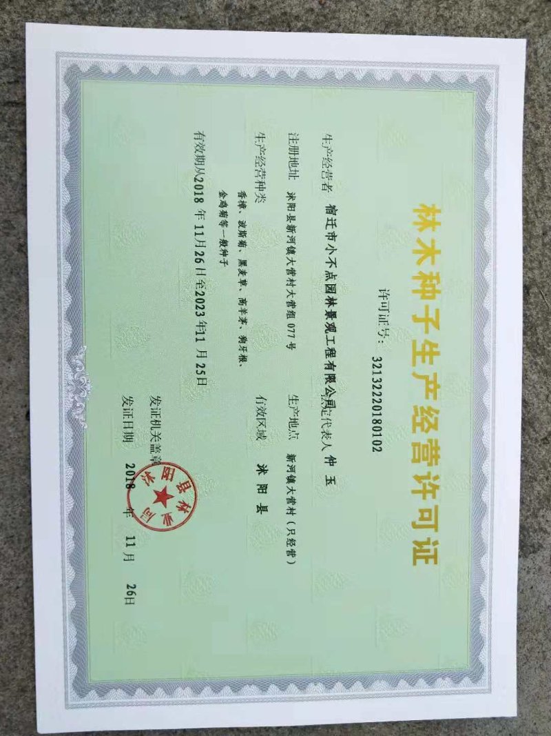黑麦草种子包邮多年生四季牧草耐寒高产再生耐收割养殖牛羊鱼