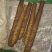 白玉山药