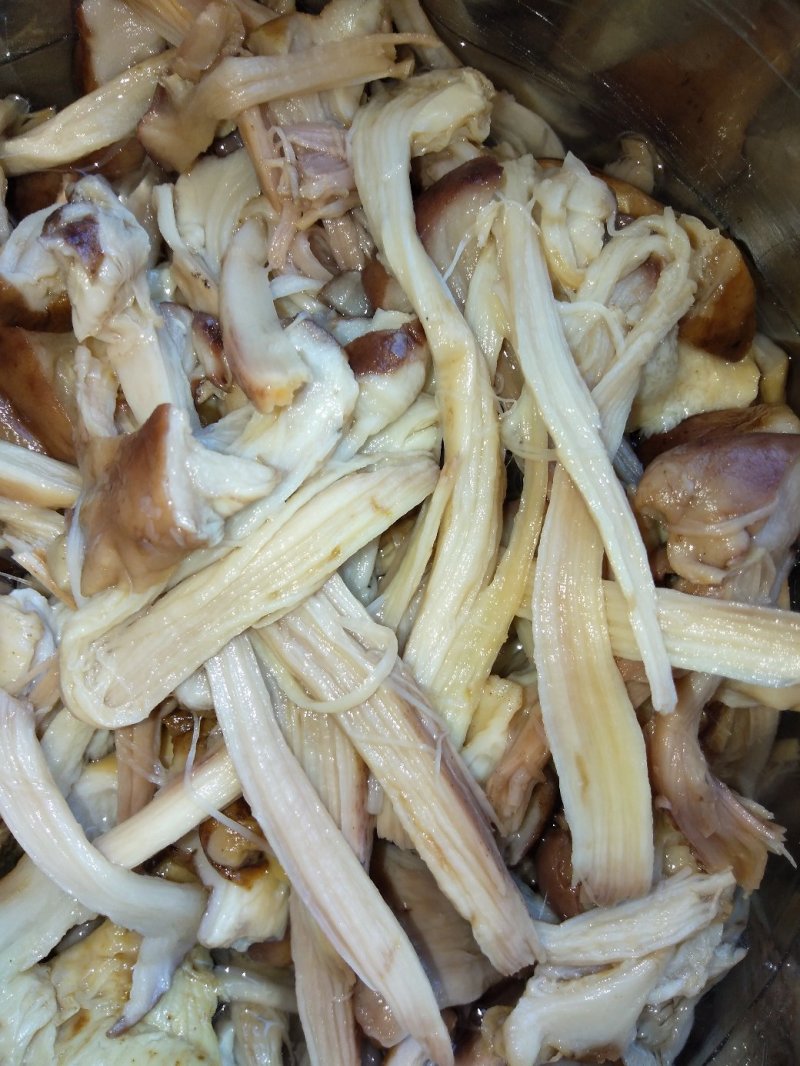 购销黑龙江产各种野生蘑菇及各种山产品有山就有合作机会