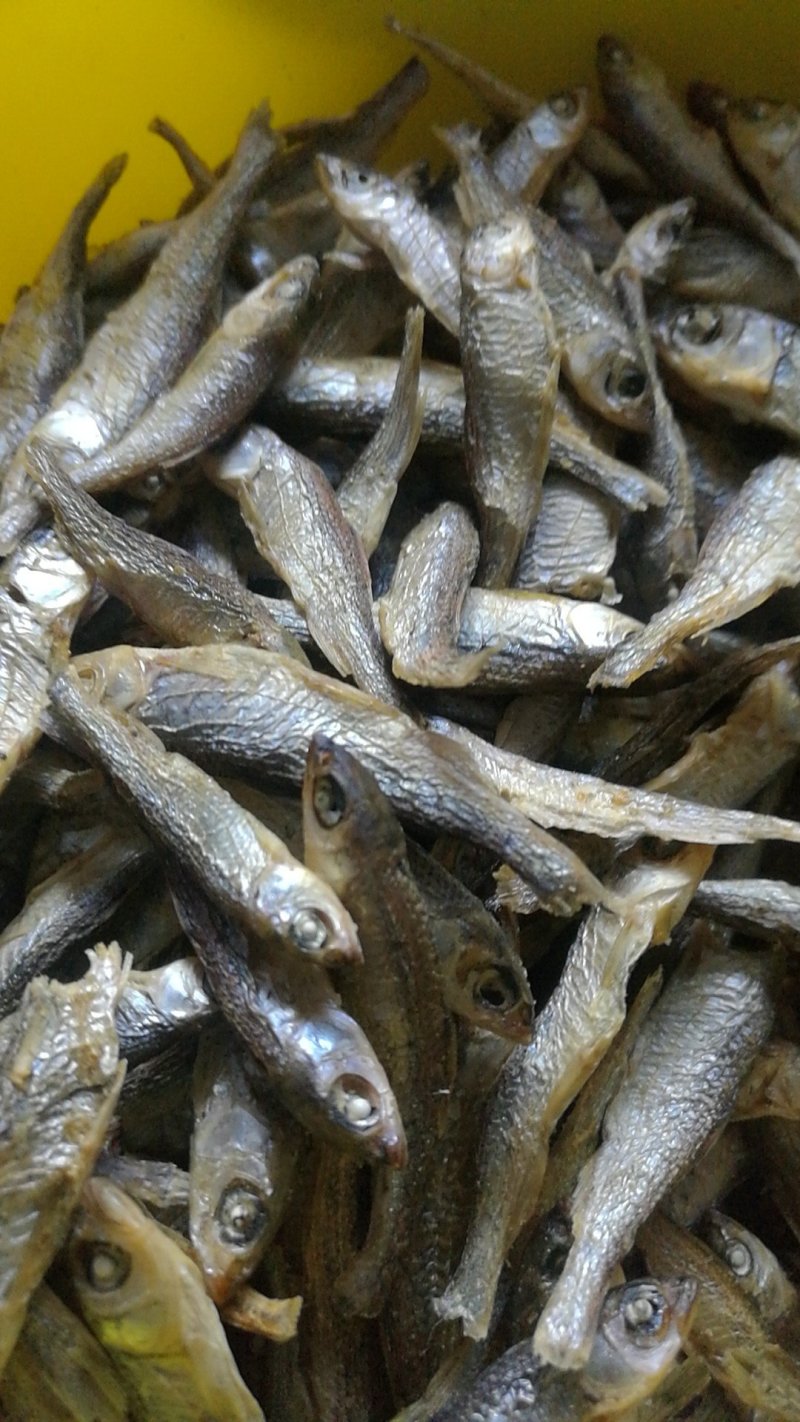 淡水小鱼干，水煮鱼干，淡盐，无盐2种规格3到5左右。现货