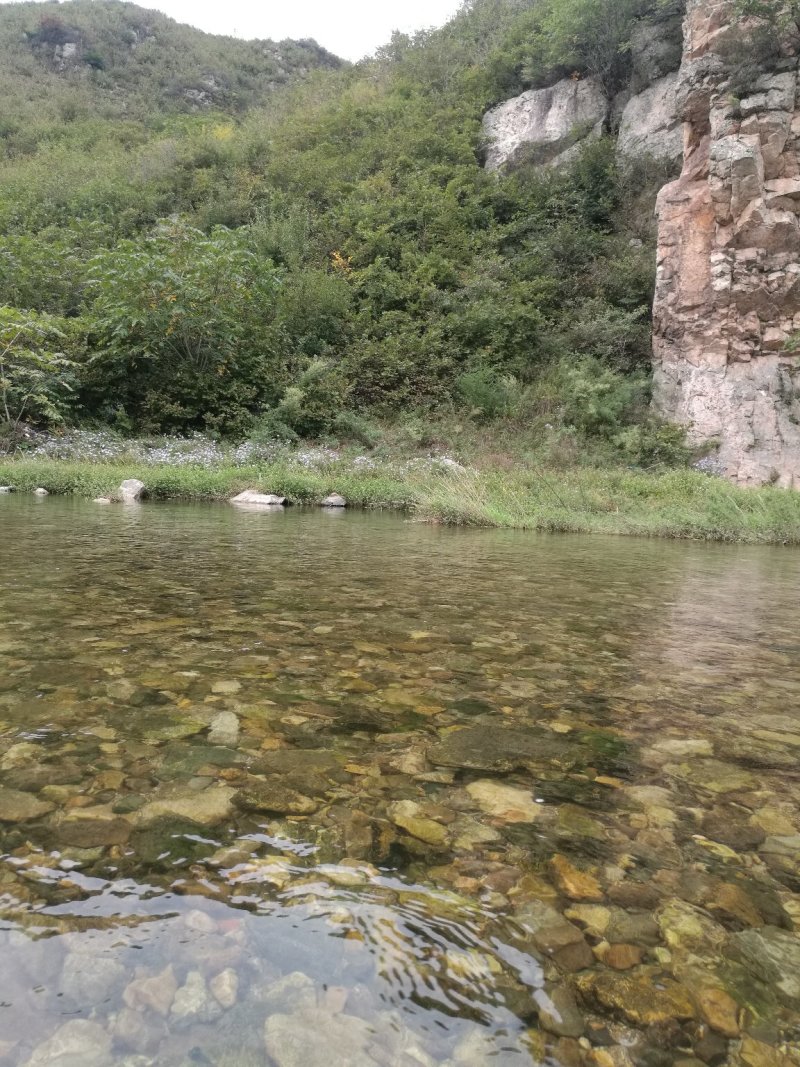 淡水小鱼干，水煮鱼干，淡盐，无盐2种规格3到5左右。现货