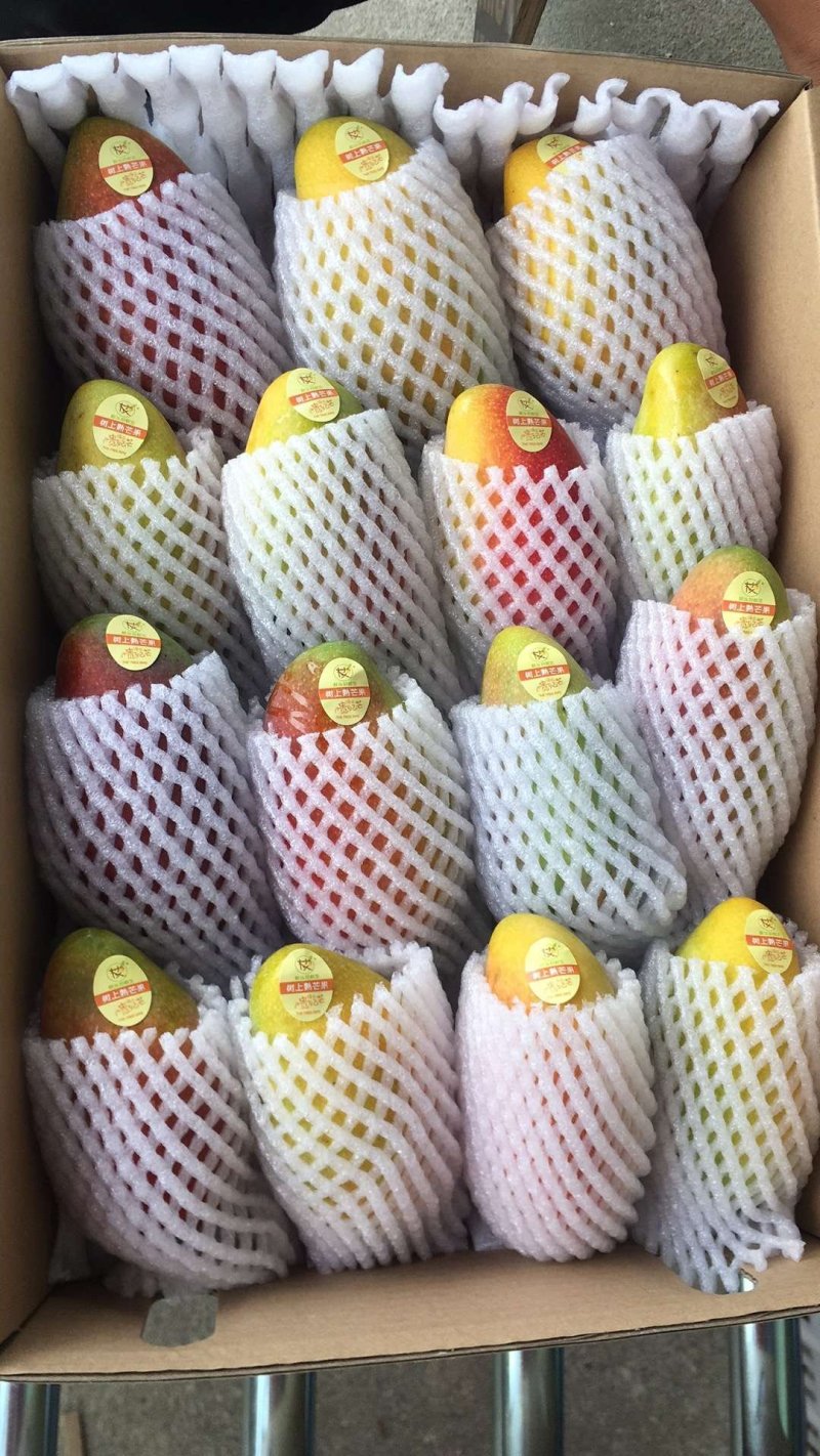 贵妃芒，，，，，，，，，，，，，，，，，，，，，