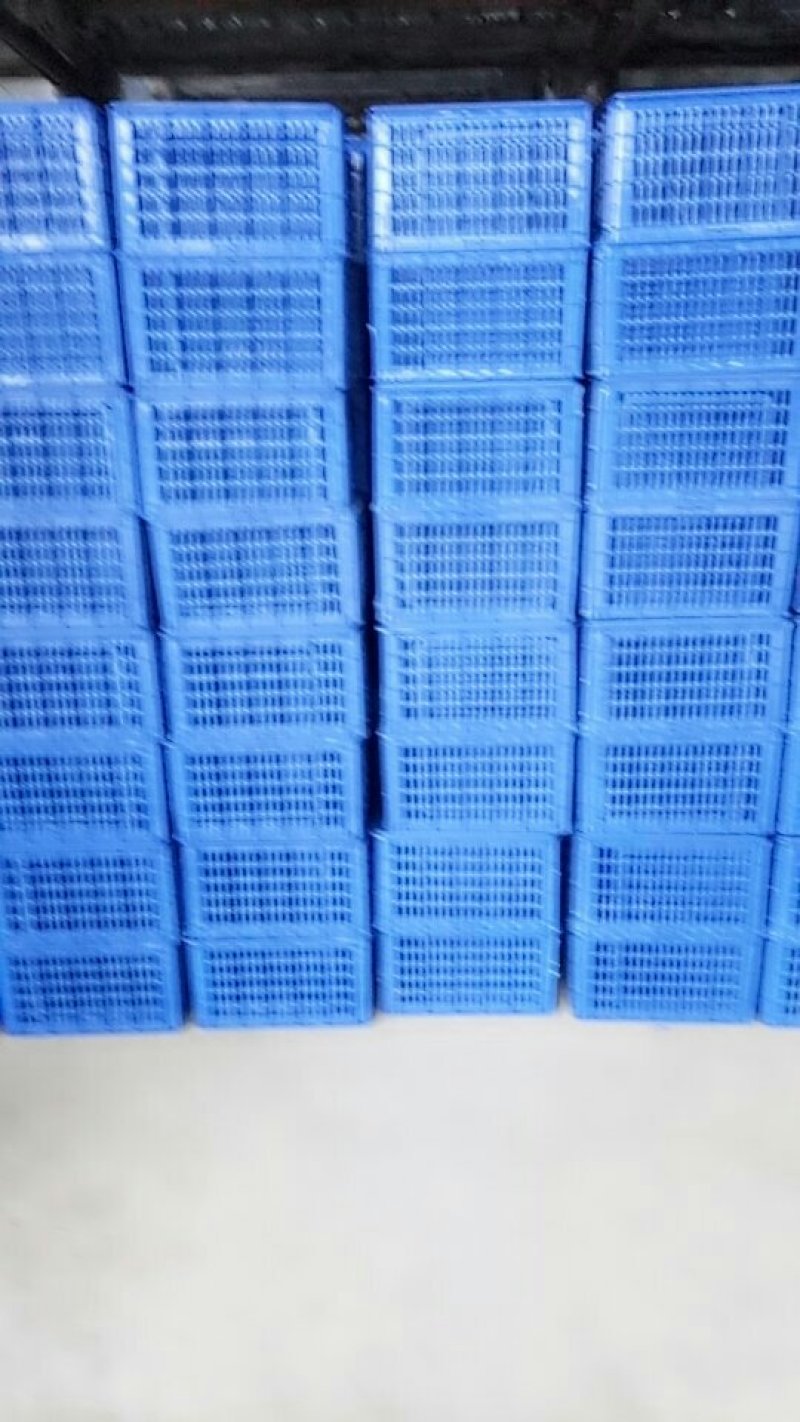 塑料筐厂家直销，大量生产各类一次性砂糖橘筐