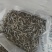普洱茶红茶绿批发零售量大从优500克起