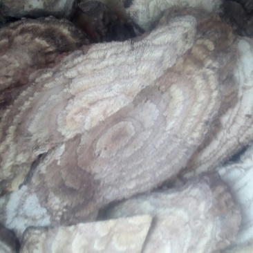 野葛片