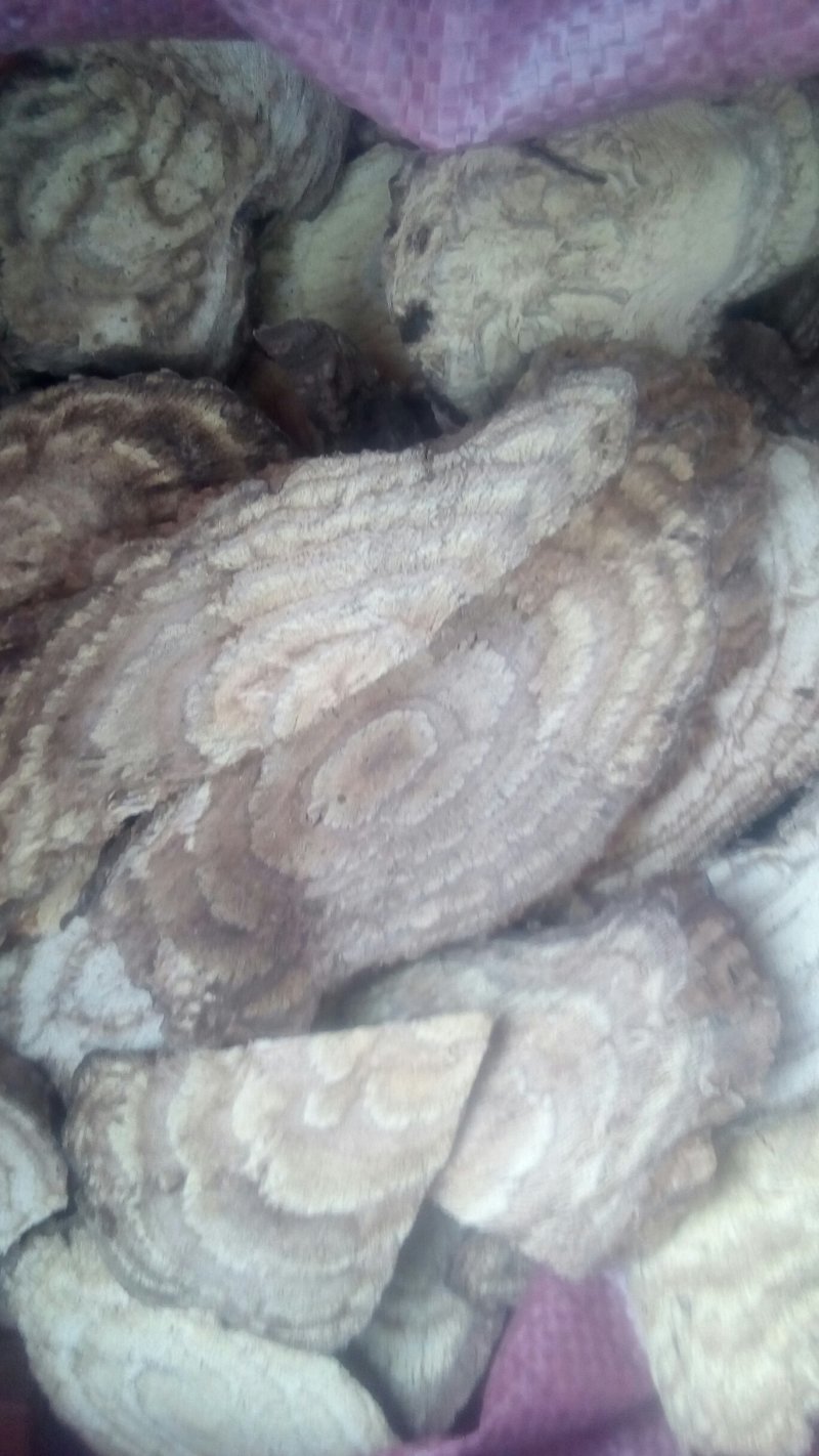 野葛片