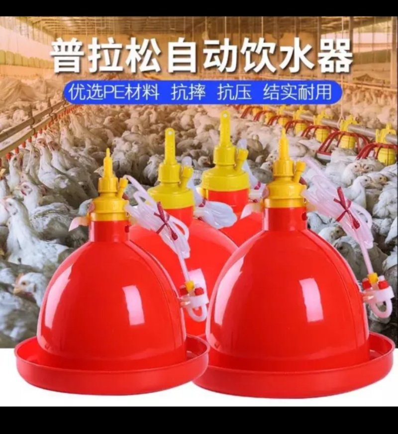 养鸡设备饮水器包邮厂家直销加厚普拉松自动饮水器养鸡设