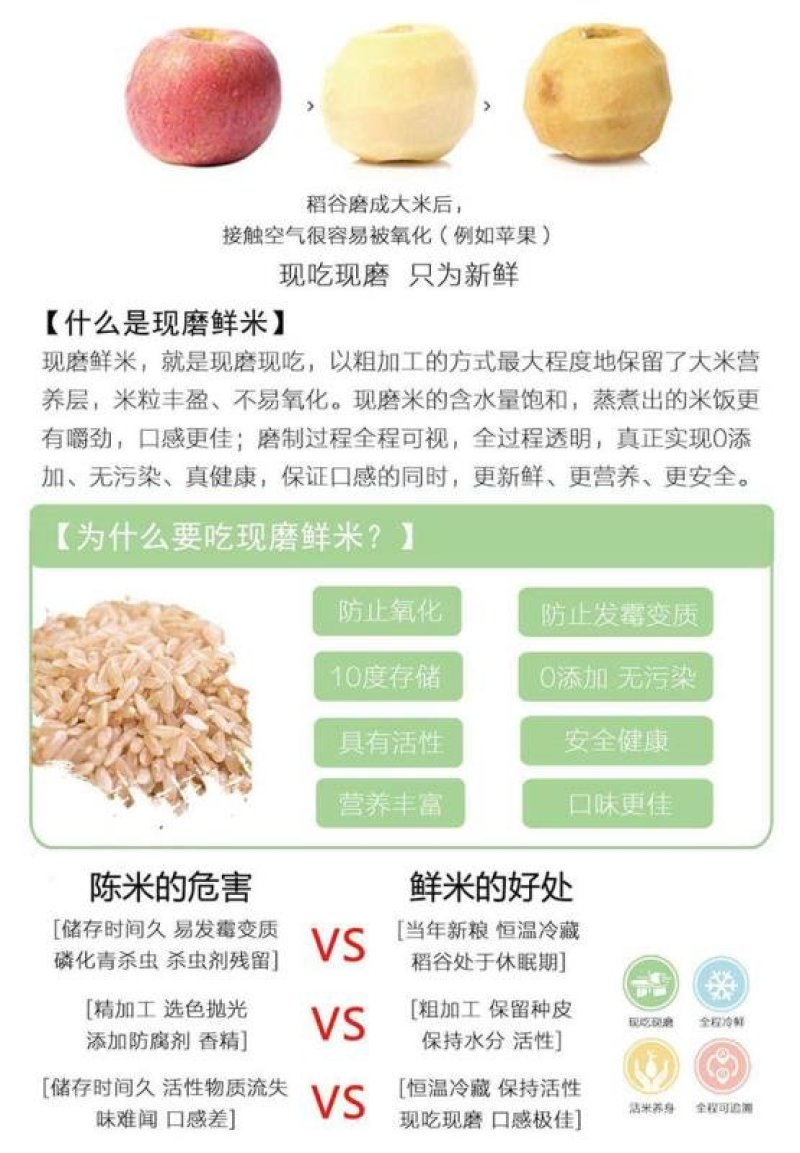 新米东北大米现磨鲜活米稻花香大米20斤包邮