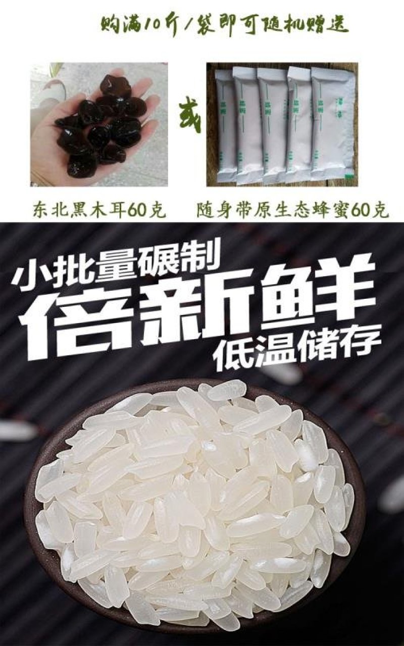 新米东北大米现磨鲜活米稻花香大米20斤包邮