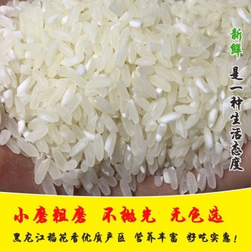 新米东北大米现磨鲜活米稻花香大米20斤包邮