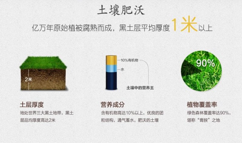 新米东北大米现磨鲜活米稻花香大米20斤包邮