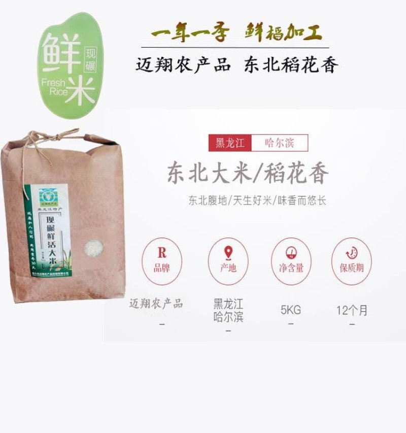 新米东北大米现磨鲜活米稻花香大米20斤包邮