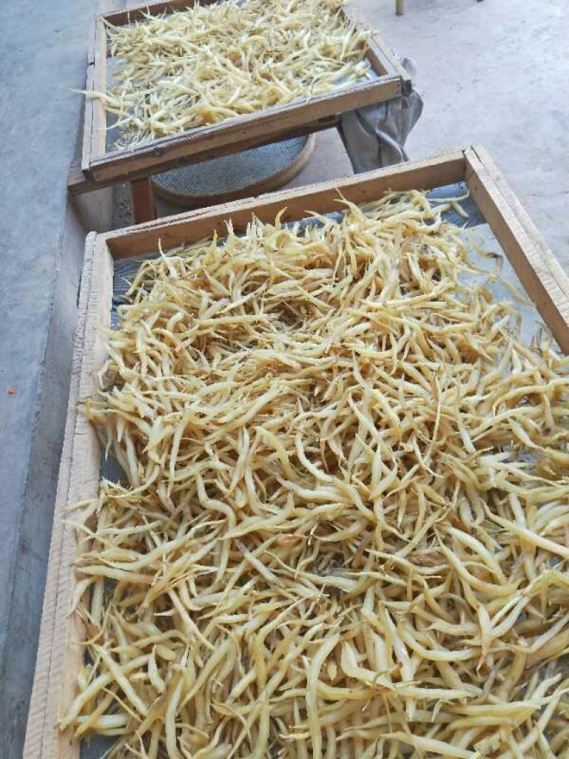 天门冬