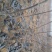 成品梨树苗0.5以上清地处理，品种齐全，小苗便宜