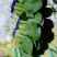 叶菜大量上市全部毛钱了