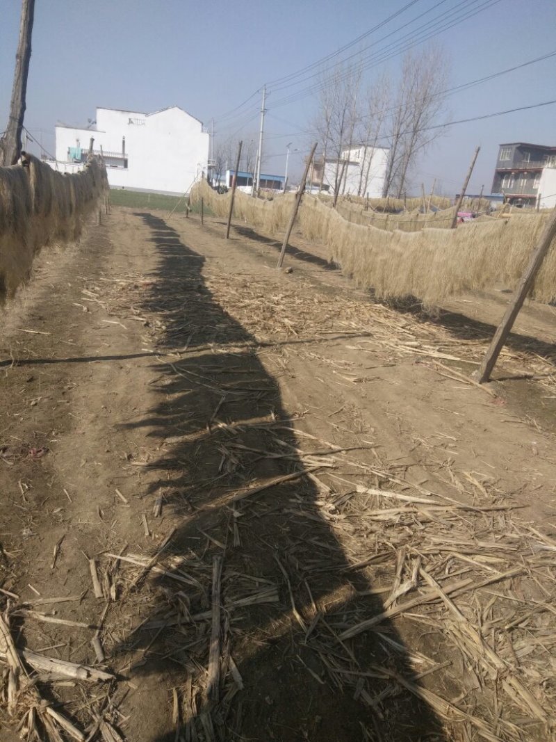 纯红薯粉丝原产地直供农户