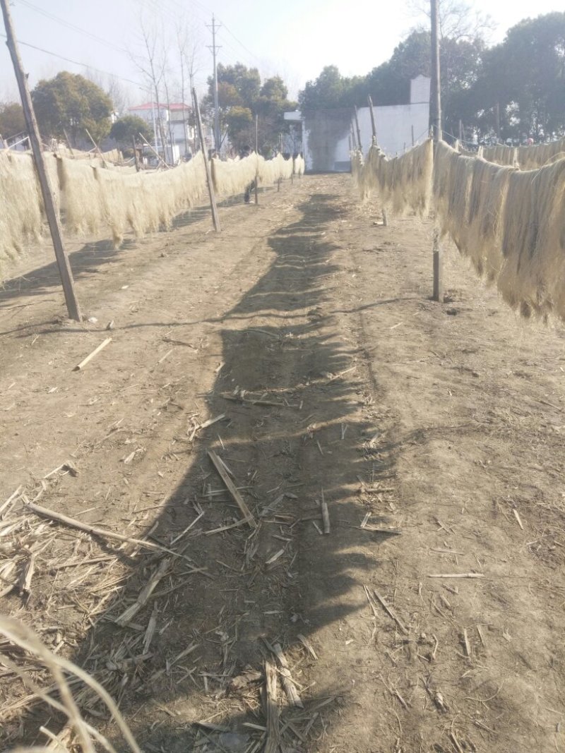 纯红薯粉丝原产地直供农户