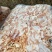 鱼饲料