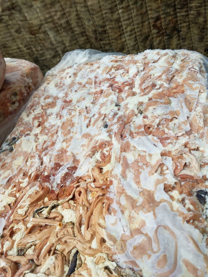 鱼饲料