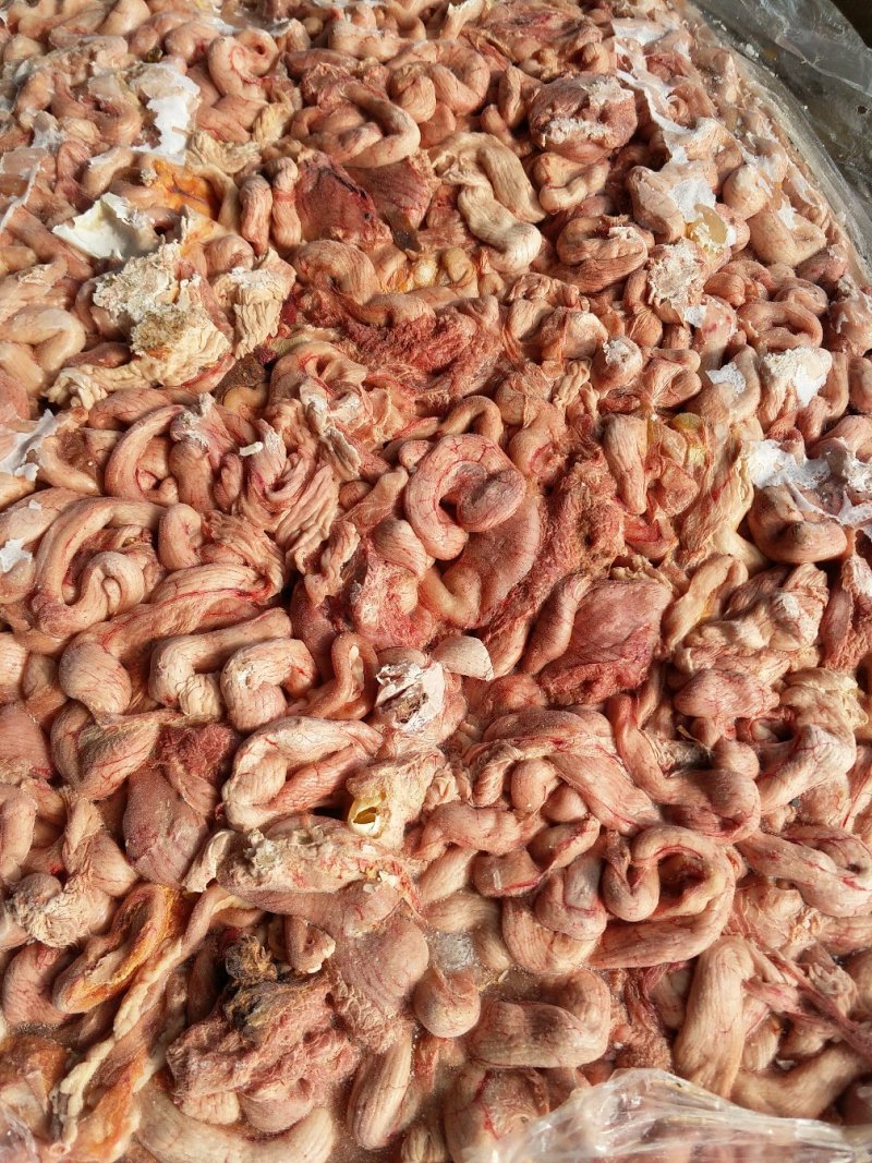 鱼饲料