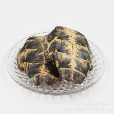 龟板批发各种规格中药材